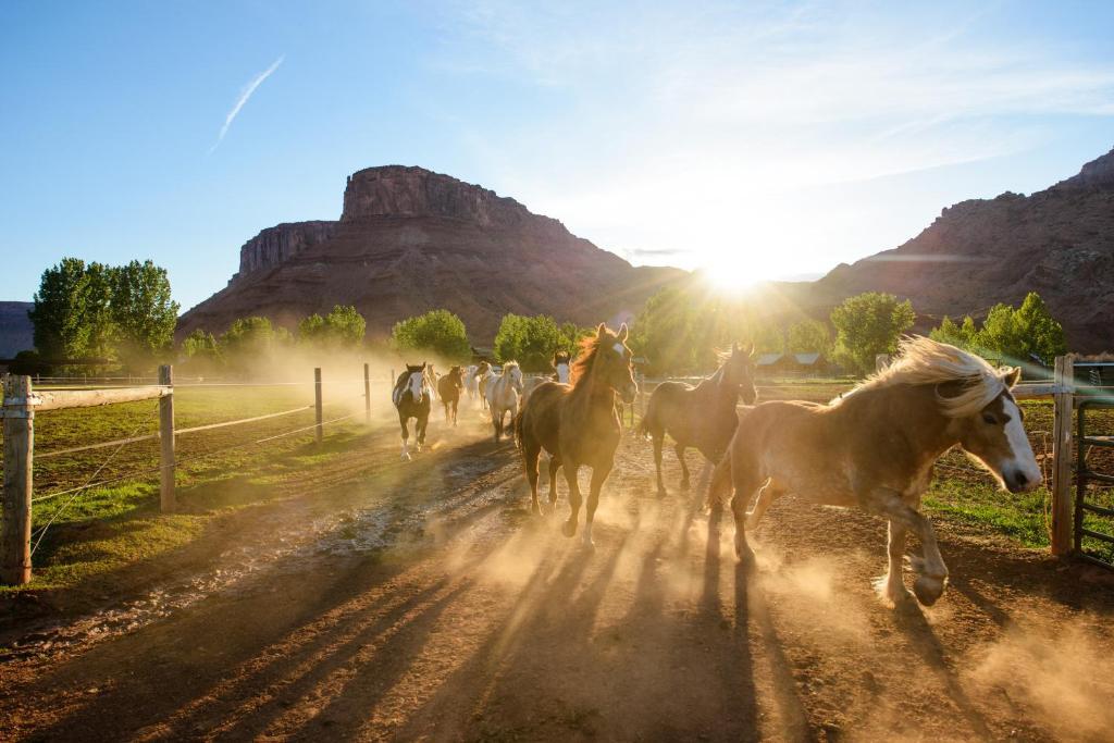 Sorrel River Ranch Resort & Spa Moab Extérieur photo